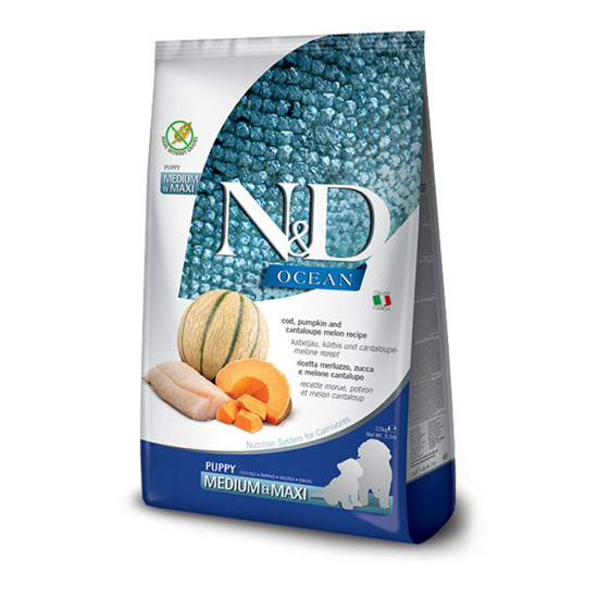 N&D Dog Ocean Codfish & Pumpkin Puppy Medium & Maxi 12kg