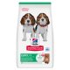 Hill's Science Plan Puppy Medium DOG με Αρνί & Ρύζι 2.5kg