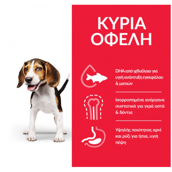 Hill's Science Plan Puppy Medium DOG με Κοτόπουλο 14kg
