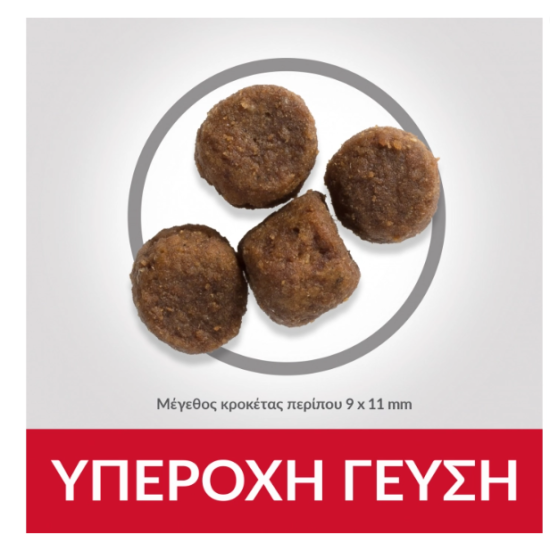 Hill's Science Plan Puppy Medium DOG με Αρνί & Ρύζι 14kg