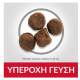 Hill's Science Plan Puppy Medium DOG με Αρνί & Ρύζι 14kg