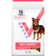Hill's Vet Essentials Adult Medium DOG με Αρνί & Ρύζι 10kg