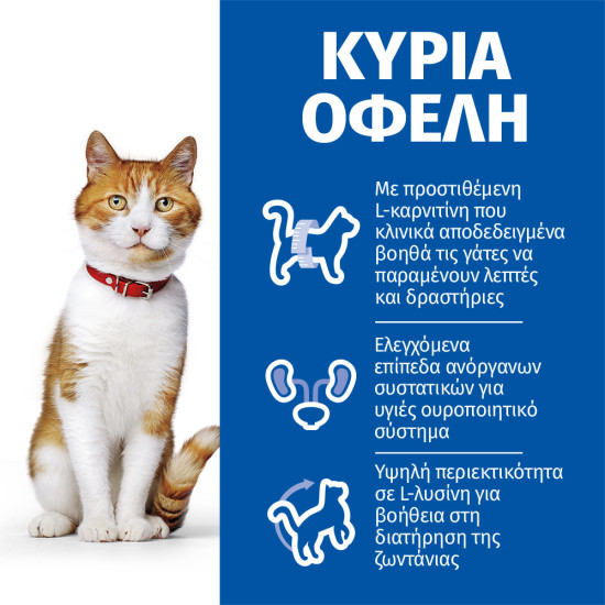 Hill's Science Plan Sterilised Adult CAT με Σολομό 3kg