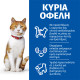 Hill's Science Plan Sterilised Adult CAT με Σολομό 3kg