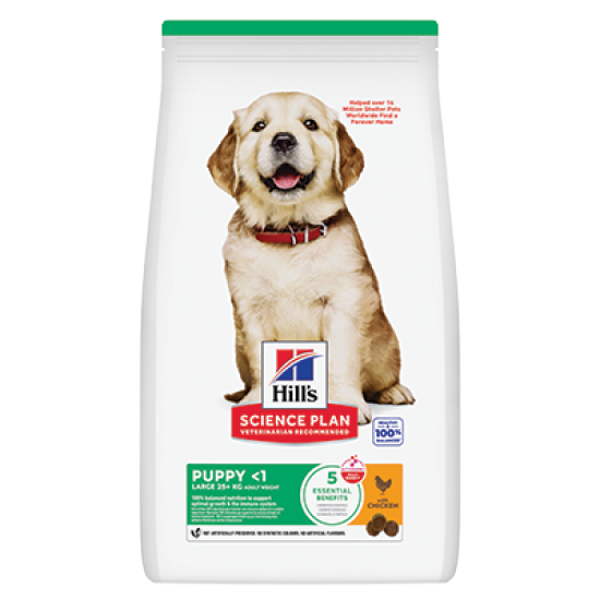 Hill's Science Plan Puppy Large Breed DOG με Κοτόπουλο 2.5kg
