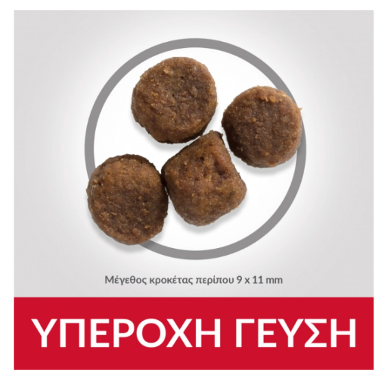 Hill's Science Plan Puppy Small & Mini DOG με Κοτόπουλο 3kg