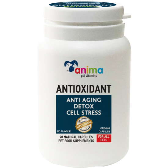 Συμπλήρωμα Διατροφής Anima Pet Vitamin Antioxidant 90 Κάψουλες Για Σκύλους Και Γάτες