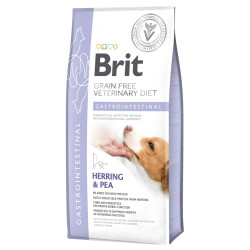 Brit VD - Gastrointestinal DOG 2kg