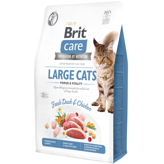 Brit Care - GF Adult Large CAT 2kg