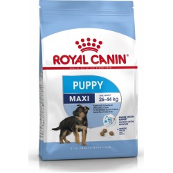 Royal Canin Maxi Puppy 10kg Ξηρά Τροφή για Κουτάβια Μεγαλόσωμων Φυλών με Ρύζι / Χοιρινό 