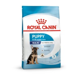 Royal Canin Puppy Maxi 15kg Ξηρά Τροφή για Κουτάβια Μεγαλόσωμων Φυλών με Ρύζι και Χοιρινό